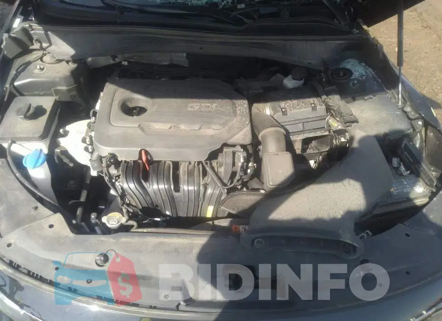 5XXGT4L32KG354509 Photo# 10