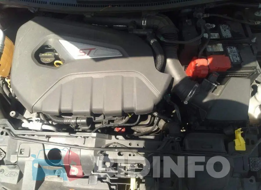 3FADP4GX6GM157293 Photo# 10