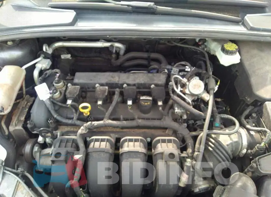 1FADP3E28HL229146 Photo# 10