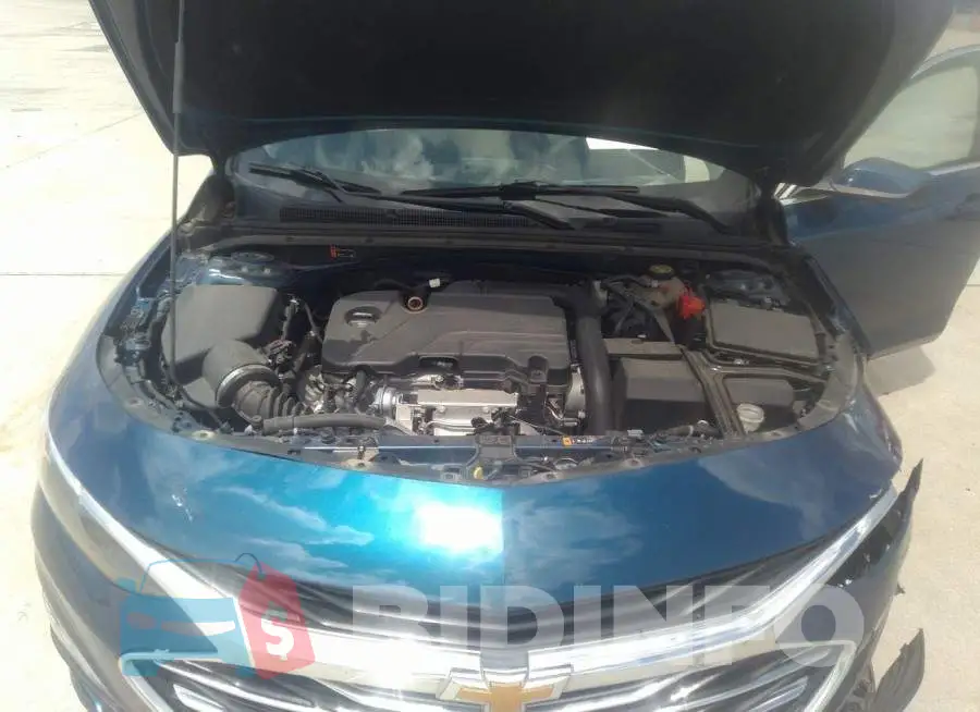1G1ZD5ST9KF171516 Photo# 10