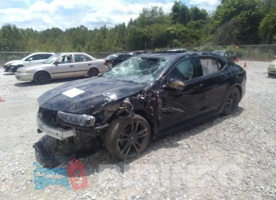 19UUB1F60KA003427 Photo# 2