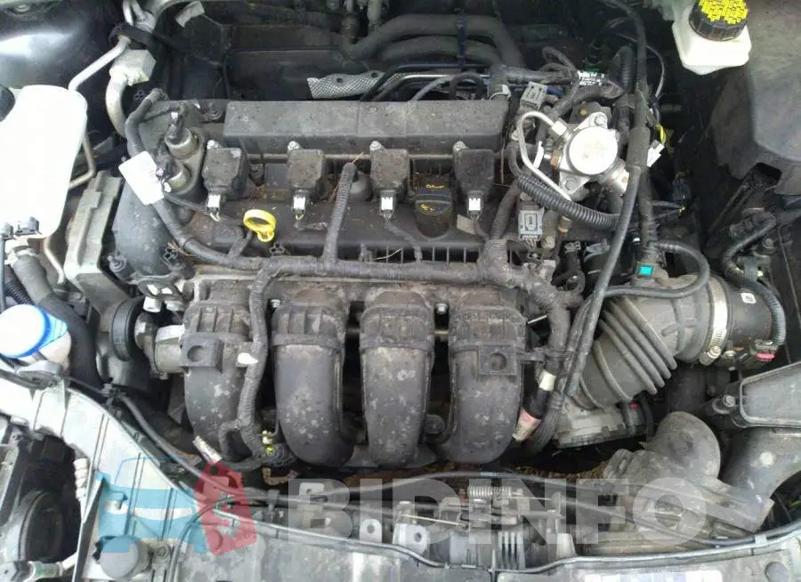 1FADP3F2XHL264303 Photo# 10