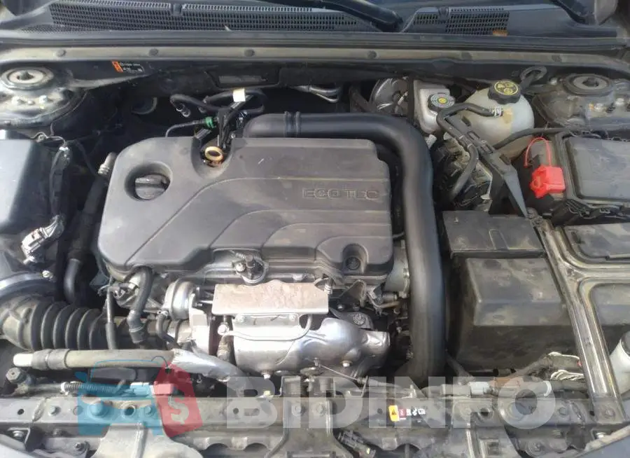 1G1ZD5ST3LF032791 Photo# 10