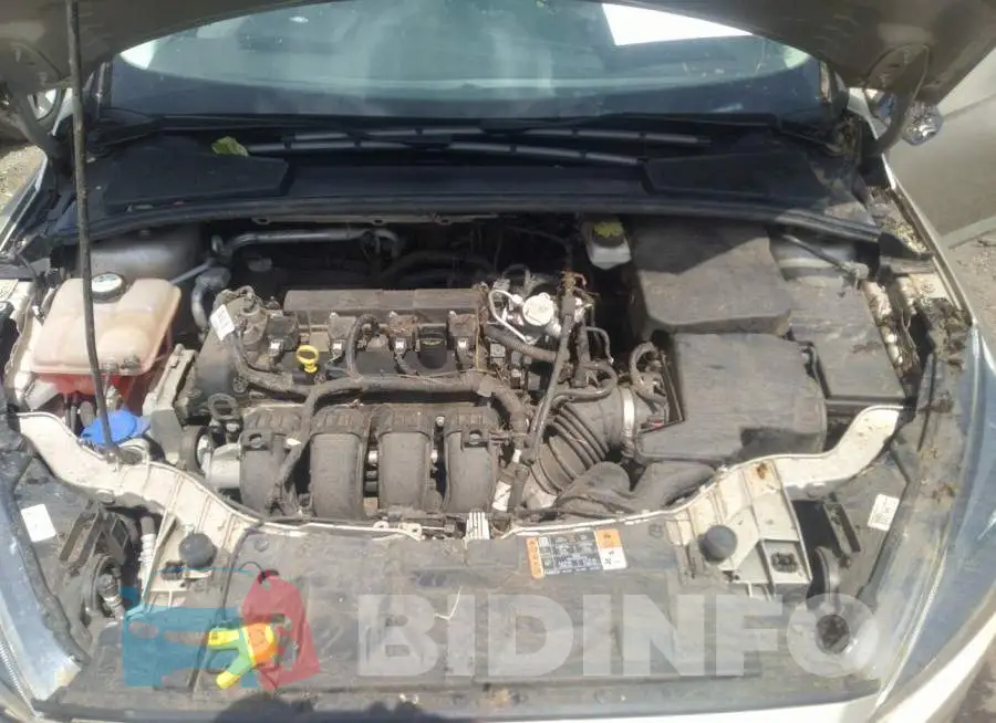 1FADP3M20HL298611 Photo# 10
