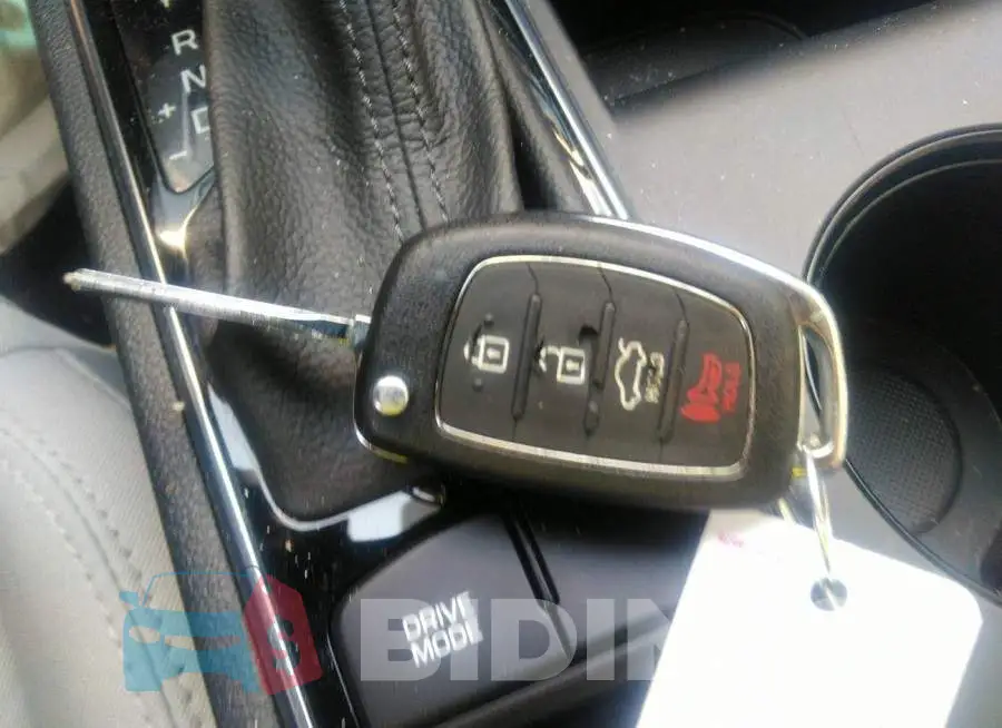 5NPE34AFXGH390447 Photo# 11