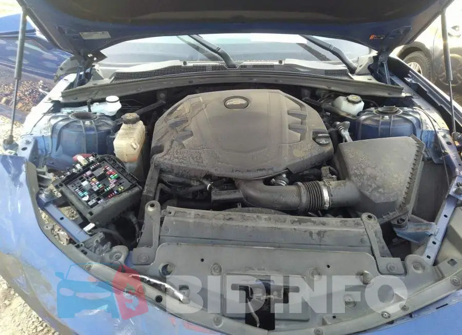 1G1FB1RS7K0138435 Photo# 10