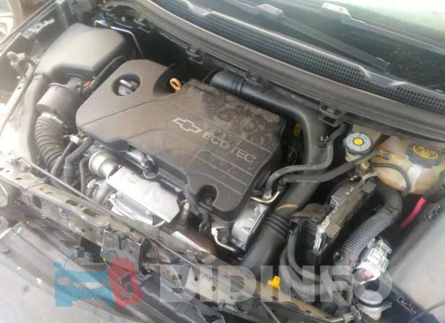 1G1BF5SMXH7197565 Photo# 10