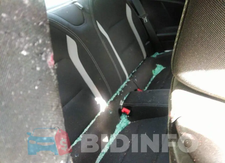 1G1FB1RS3K0123527 Photo# 8