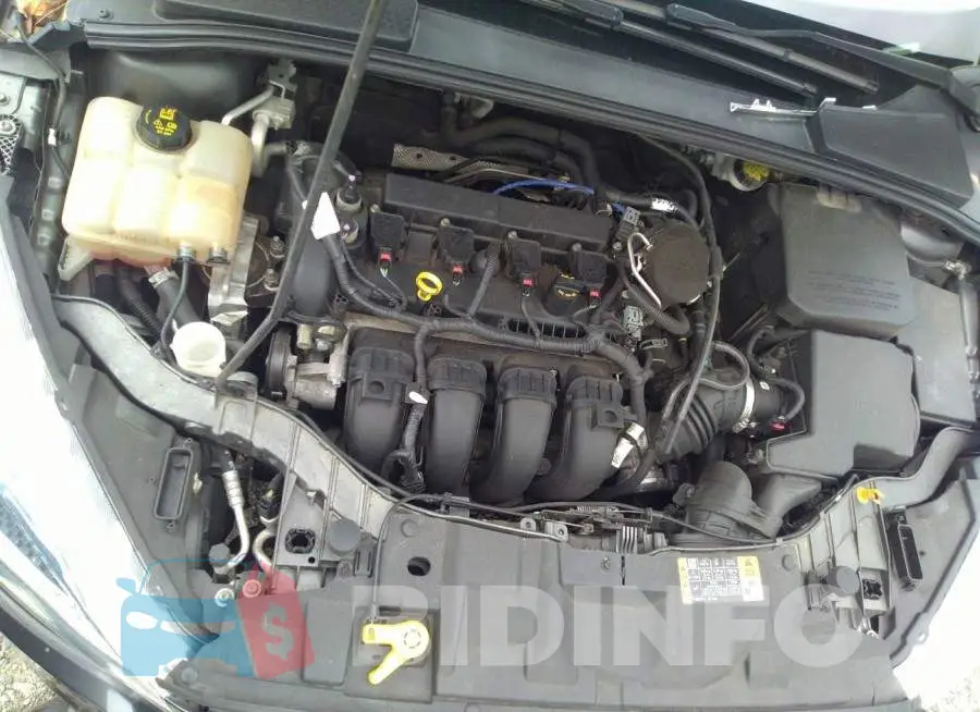 1FADP3F23FL202044 Photo# 10