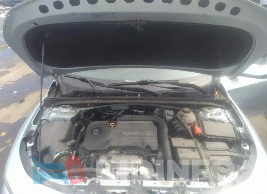 1G1ZE5ST6HF250373 Photo# 10