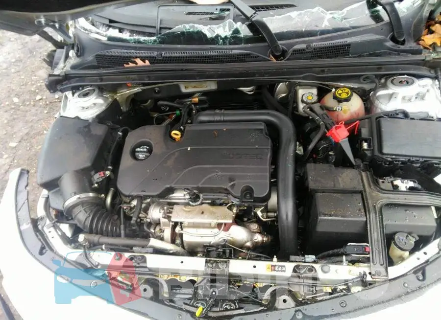 1G1ZB5ST7KF129643 Photo# 10