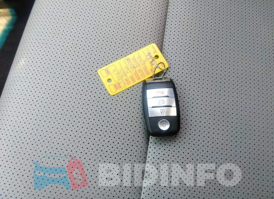 KNDPN3AC6L7753568 Photo# 11