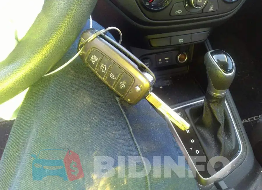 3KPC24A61LE110620 Photo# 11