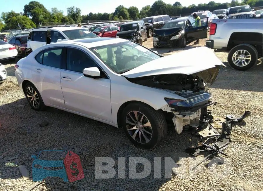 19UUB1F35HA005303 Photo# 1