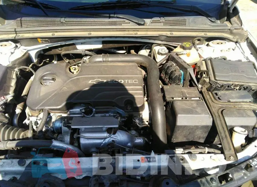 1G1ZB5ST1HF191483 Photo# 10