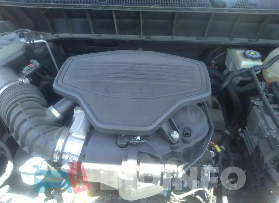 1GKKNPLS5HZ250152 Photo# 10