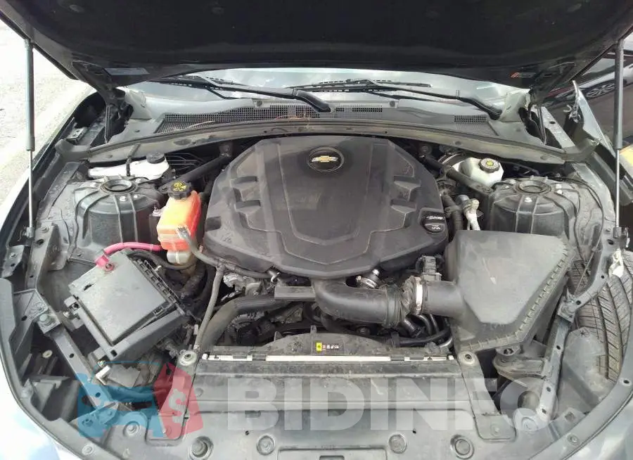 1G1FB1RS8H0117943 Photo# 10