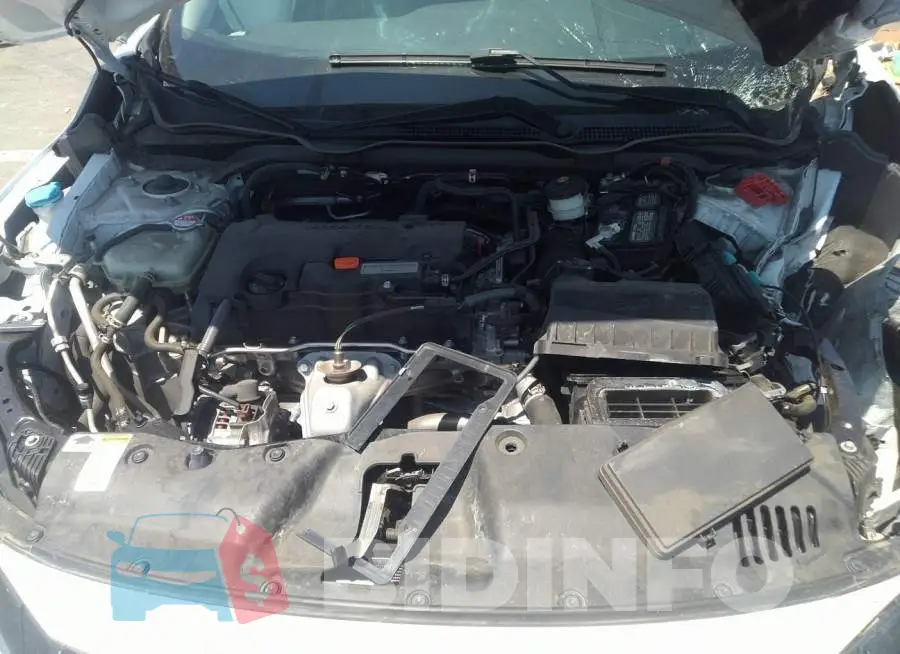 19XFC2F62KE207380 Photo# 10