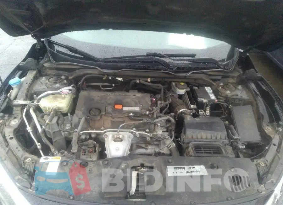 19XFC2F58GE098941 Photo# 10