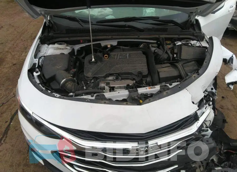 1G1ZD5ST5LF123917 Photo# 10