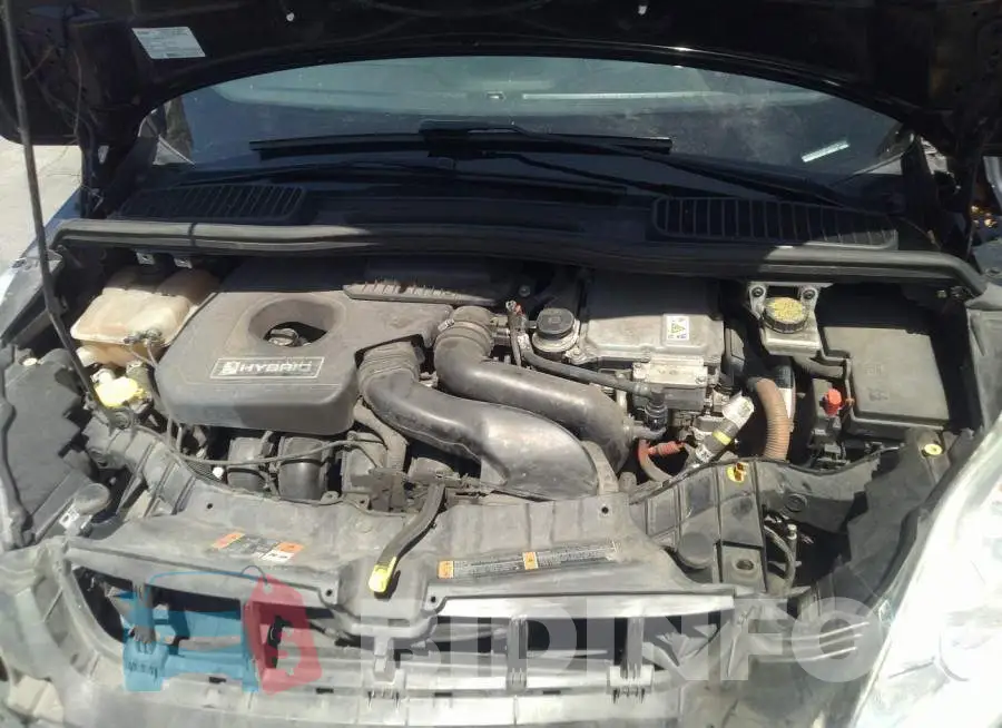 1FADP5AU1GL108041 Photo# 10