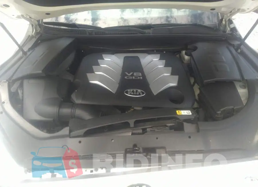 KNALU4D41F6024834 Photo# 10
