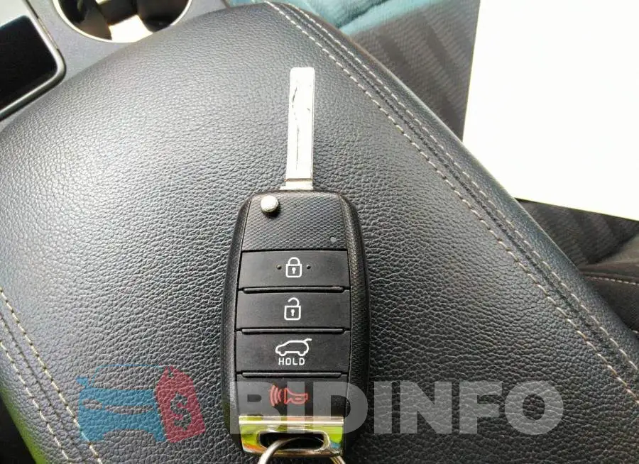KNDPM3AC2L7652787 Photo# 11