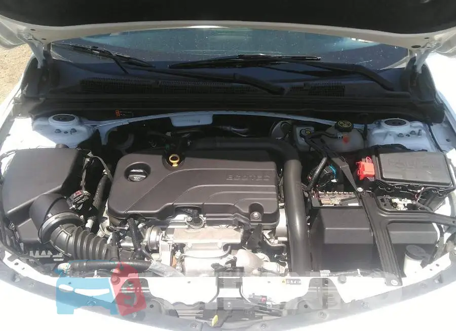 1G1ZD5ST4JF230308 Photo# 10