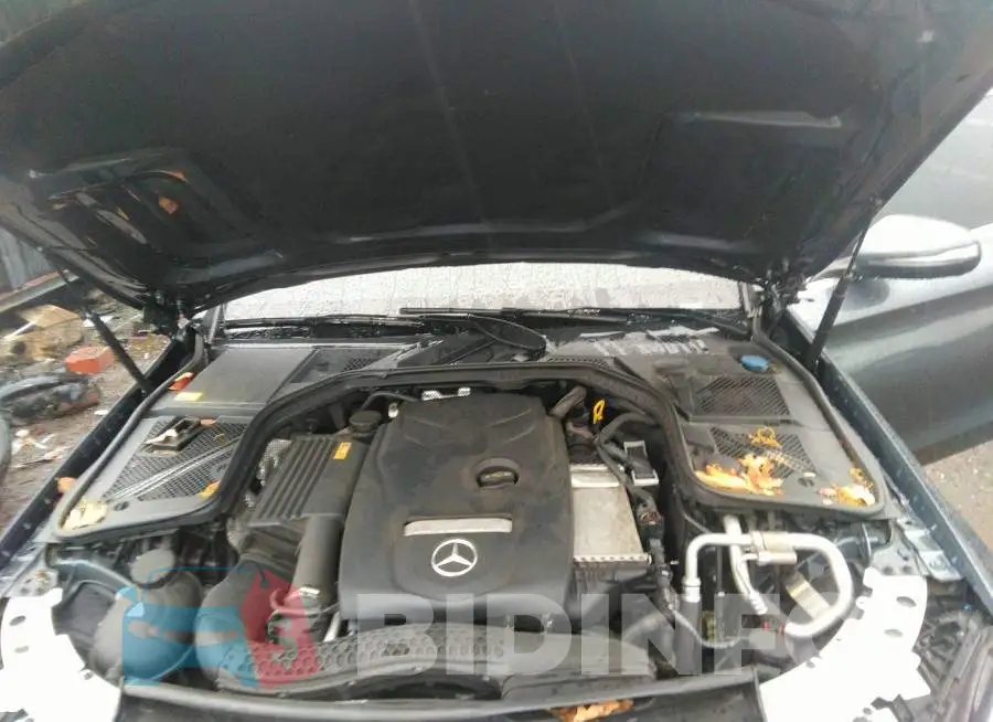 WDDWF4KB6GR128771 Photo# 10