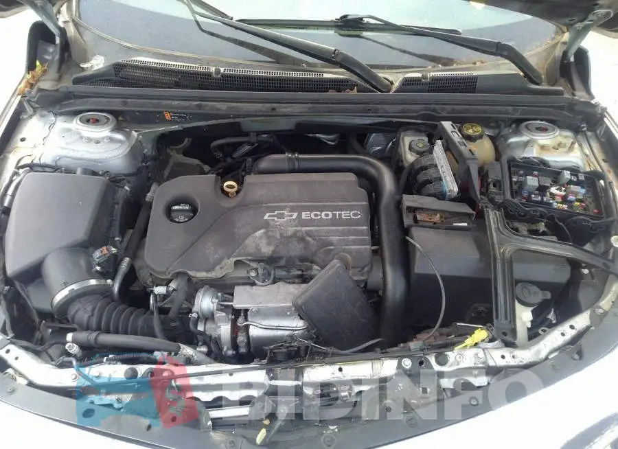 1G1ZB5ST2HF113908 Photo# 10