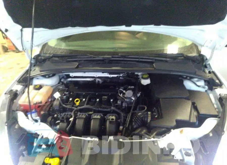 1FADP3F20JL311098 Photo# 10