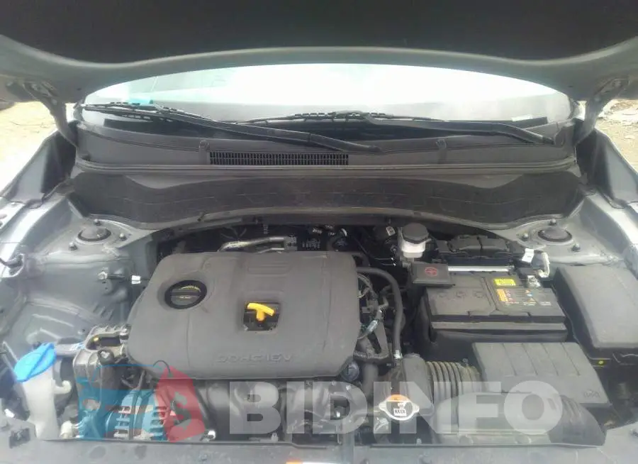 KNDEPCAA8M7095172 Photo# 10