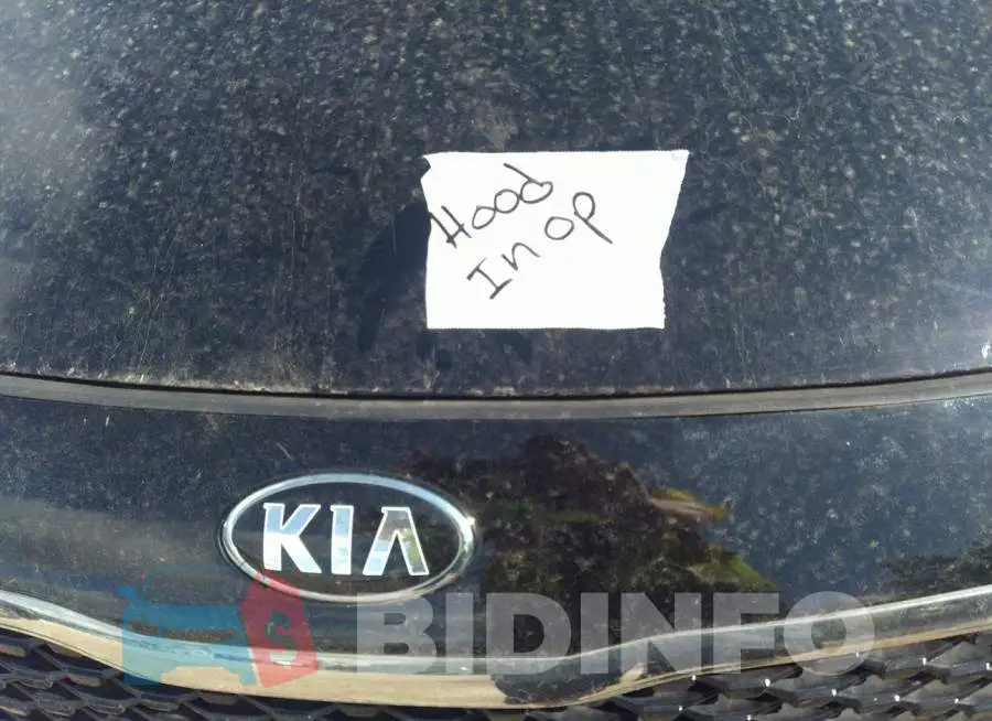 5XXGT4L35JG181308 Photo# 10