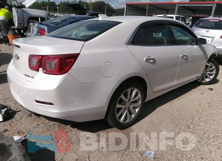 1G11F5SLXFF262727 Photo# 4