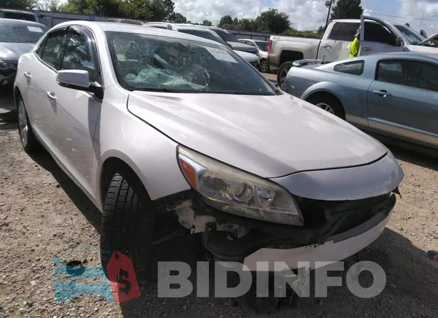 1G11F5SLXFF262727 Photo# 6