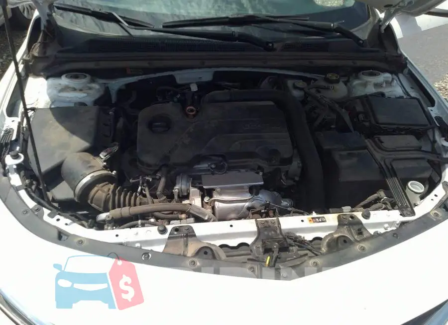 1G1ZD5ST6LF013328 Photo# 10