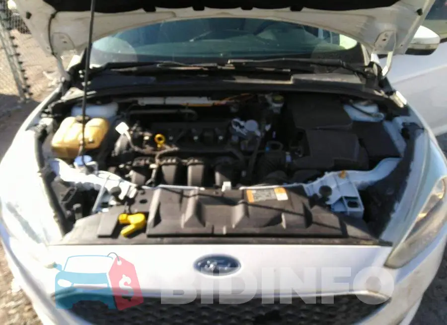 1FADP3K25GL379167 Photo# 10