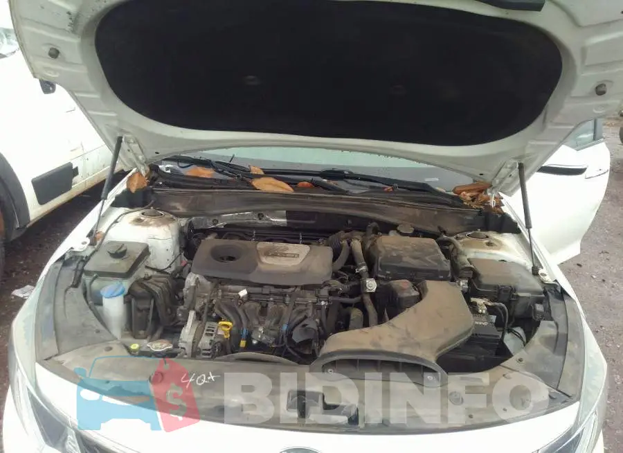 5XXGT4L15GG029522 Photo# 10
