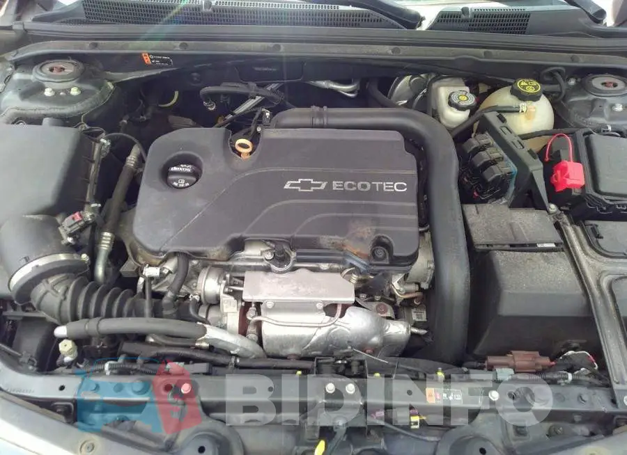 1G1ZE5ST8HF119574 Photo# 10