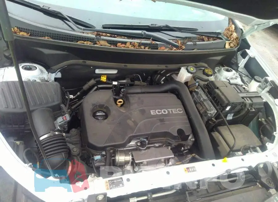 2GNAXTEV7L6172518 Photo# 10