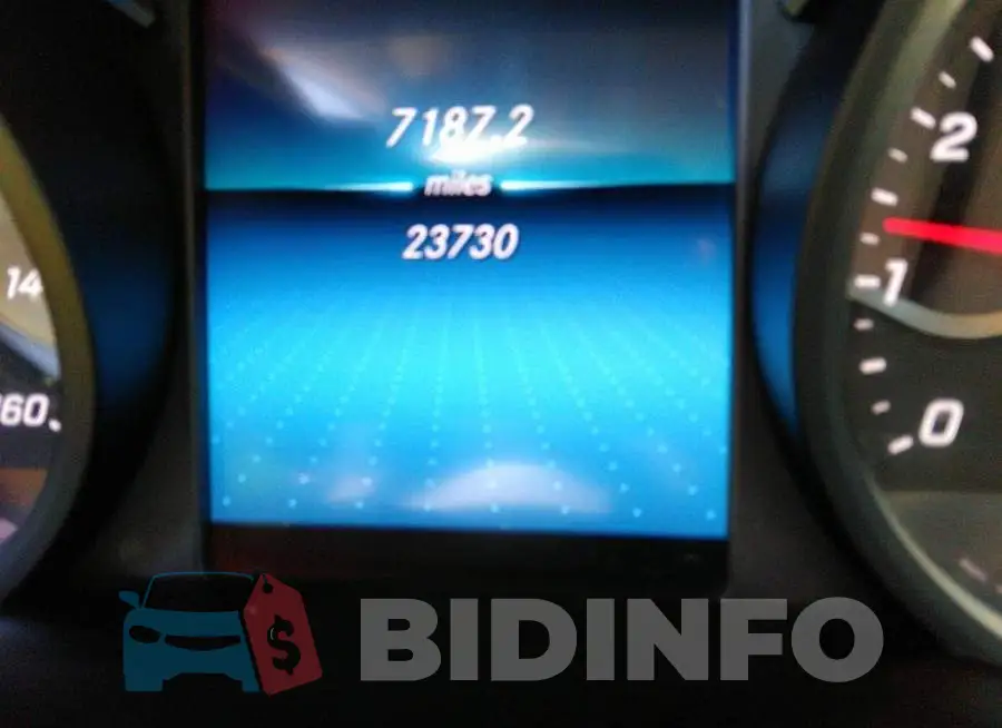 WDDWF8DB2LR558005 Photo# 7