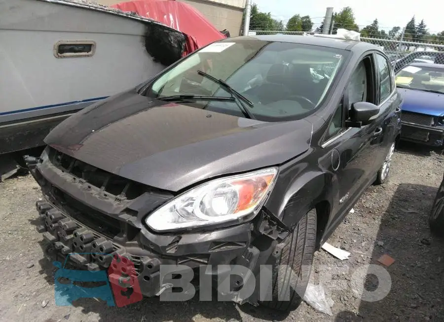 1FADP5CU6FL117202 Photo# 2