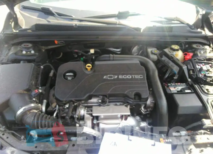 1G1ZD5ST8JF139929 Photo# 10