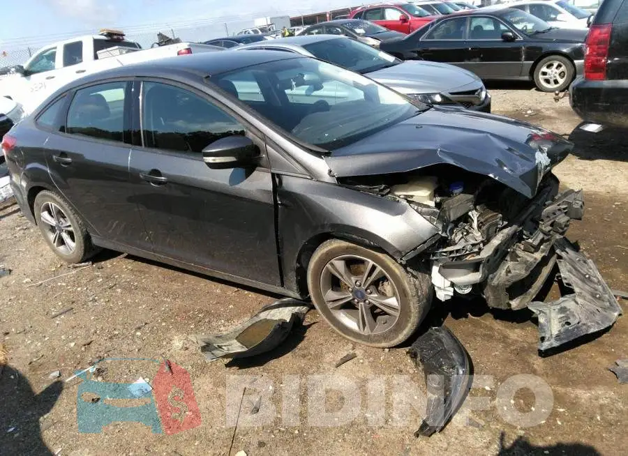 1FADP3FE5HL294156 Photo# 1