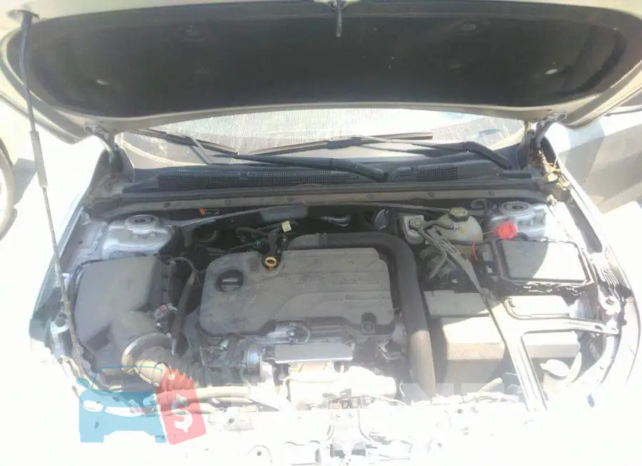 1G1ZG5ST5KF204812 Photo# 10