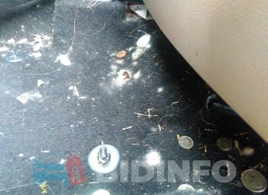 5TDGZRBH1LS504411 Photo# 6