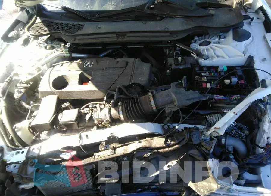 19UUB5F62MA001270 Photo# 10