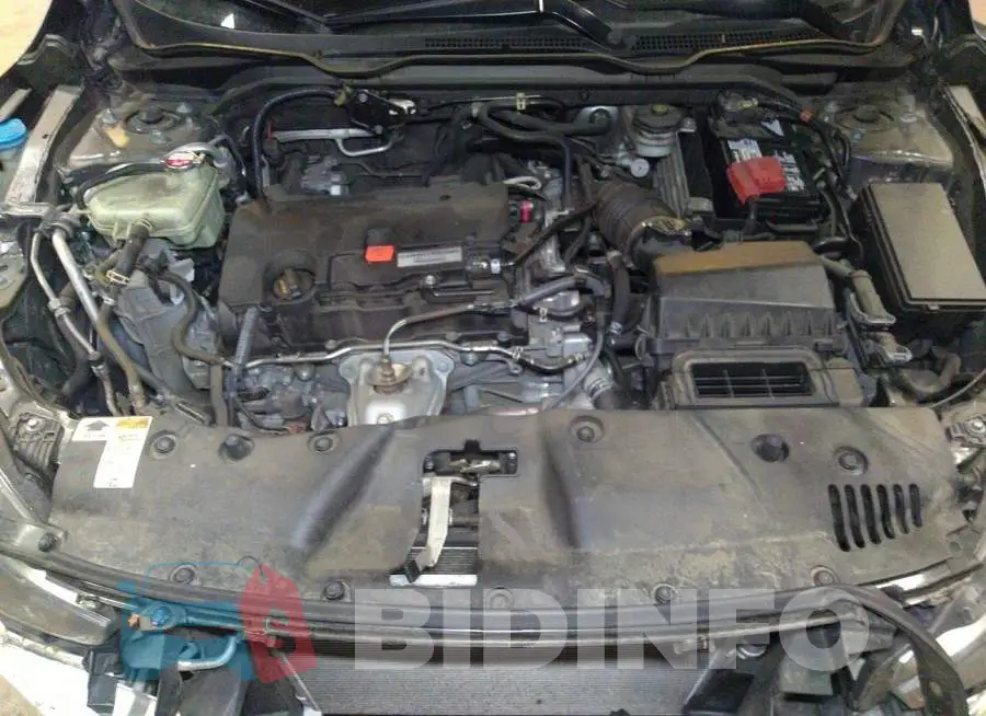 19XFC2F50HE202470 Photo# 10