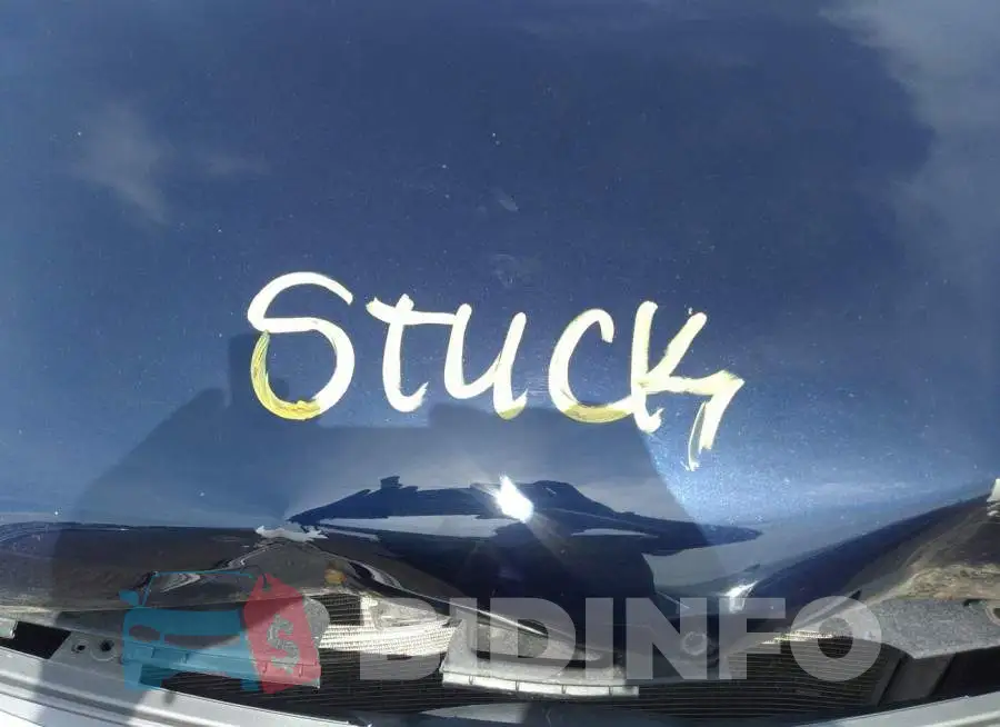 5XYZUDLBXJG505345 Photo# 10