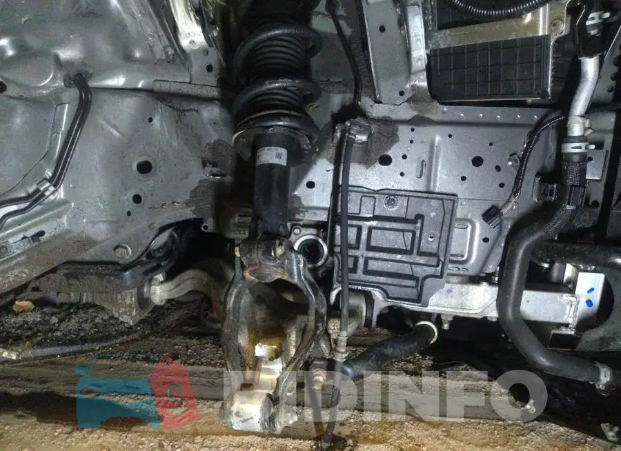 JN1EV7AR3JM440417 Photo# 6